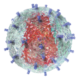 HIVwakuchinno-shi-jie-shi-changrepoto2025-2031451.png (107 KB)